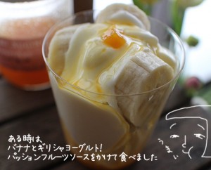 手作りヨーグルトメーカー「本格ギリシャヨーグルト」（写真画像）自宅で簡単にできた